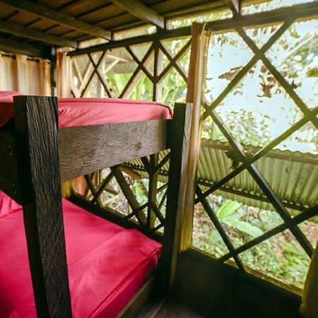 Auberge de jeunesse Ayahuasca à Puerto Nariño Extérieur photo