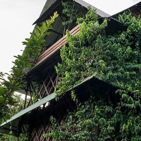 Auberge de jeunesse Ayahuasca à Puerto Nariño Extérieur photo