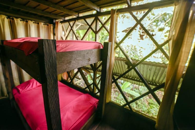 Auberge de jeunesse Ayahuasca à Puerto Nariño Extérieur photo