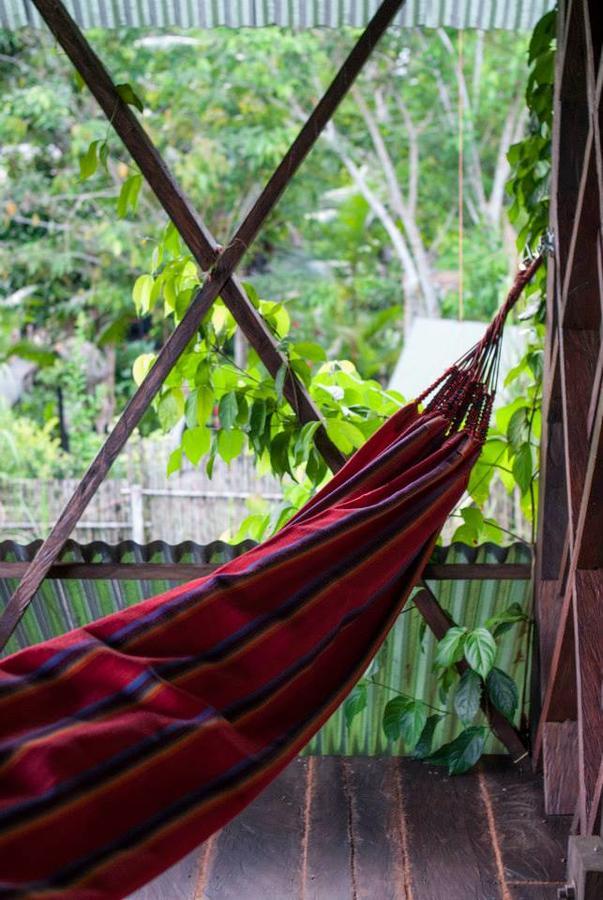 Auberge de jeunesse Ayahuasca à Puerto Nariño Extérieur photo