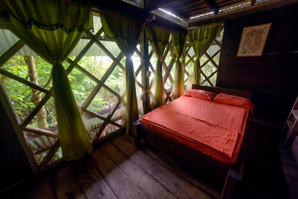 Auberge de jeunesse Ayahuasca à Puerto Nariño Extérieur photo