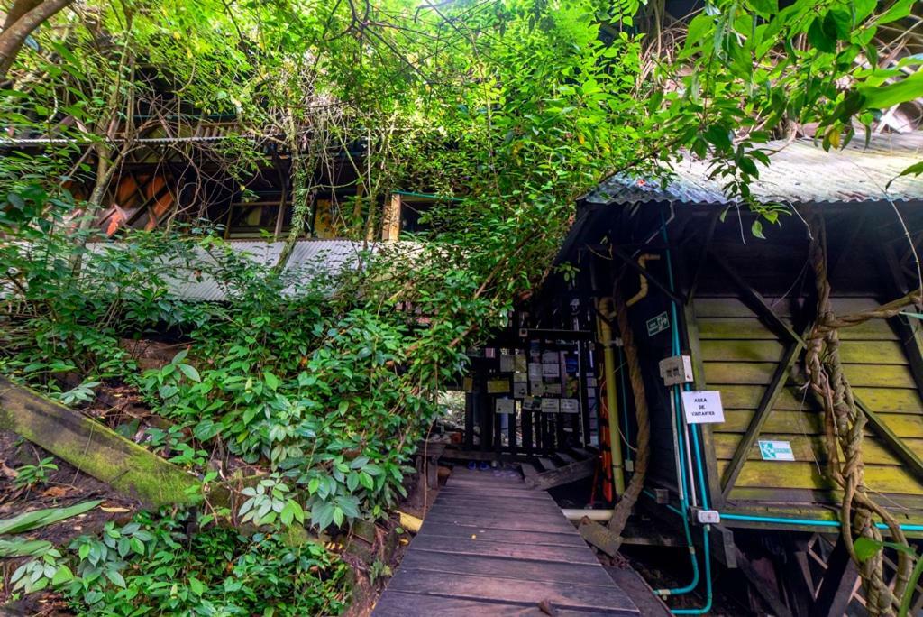 Auberge de jeunesse Ayahuasca à Puerto Nariño Extérieur photo